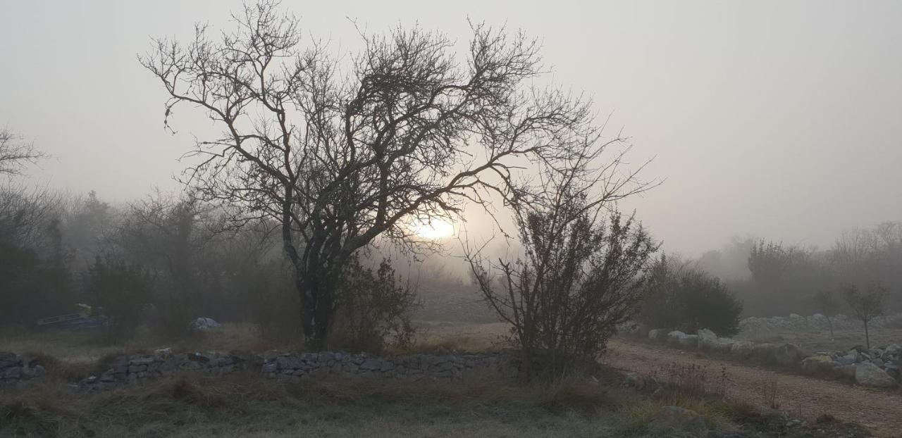 Gites Du Combeau Saint-Maurice-dʼIbie Dış mekan fotoğraf