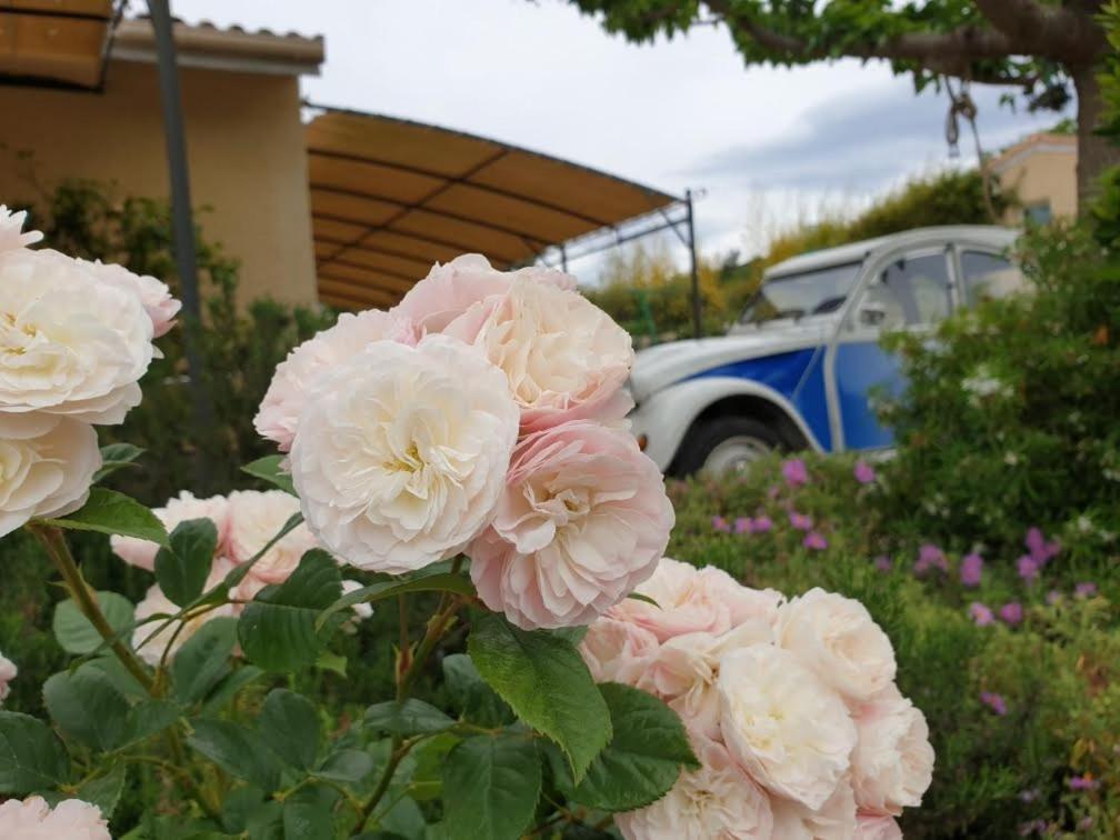 Gites Du Combeau Saint-Maurice-dʼIbie Dış mekan fotoğraf